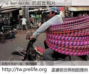 o bernardo 的前世相片