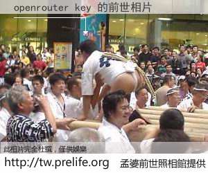 openrouter key 的前世相片