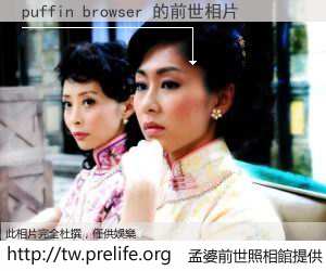 puffin browser 的前世相片