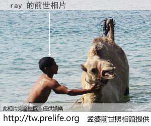 ray 的前世相片