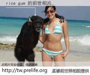 rice gum 的前世相片