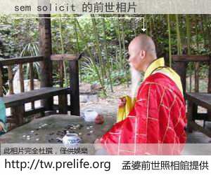 sem solicit 的前世相片