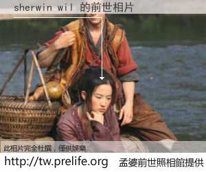 sherwin wil 的前世相片