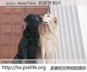 suzu deepfake 的前世相片