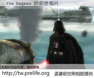 the begees 的前世相片