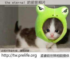 the eternal 的前世相片