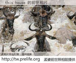 this house 的前世相片