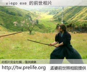 viego exe 的前世相片