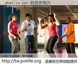 what is csv 的前世相片