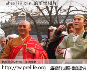 wheelie bin 的前世相片