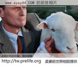 www.ayay44.COM 的前世相片
