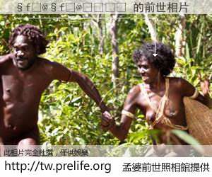 �f�@�f�@���� 的前世相片