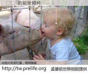 ىف 的前世相片