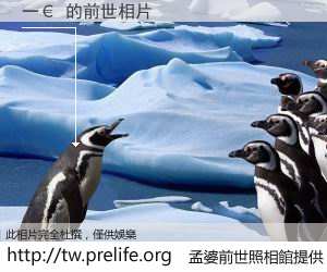 一€ 的前世相片