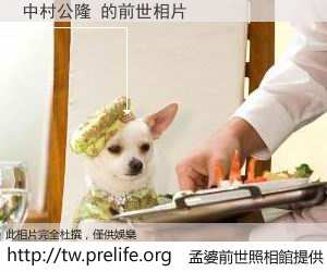 中村公隆 的前世相片