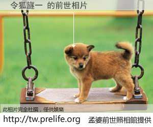 令狐旞一 的前世相片