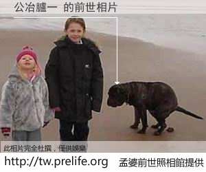 公冶臚一 的前世相片