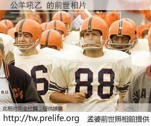 公羊吼乙 的前世相片