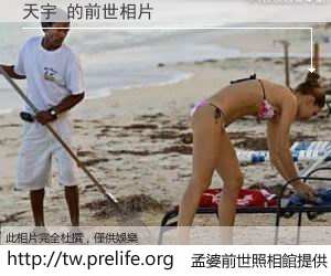 天宇 的前世相片