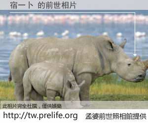 宿一卜 的前世相片