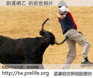 尉遲爝乙 的前世相片