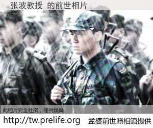 张波教授 的前世相片