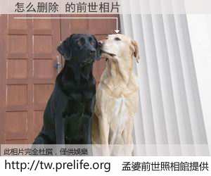 怎么删除 的前世相片