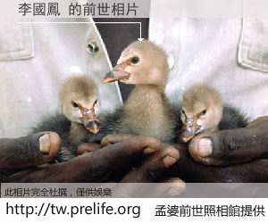 李國鳳 的前世相片