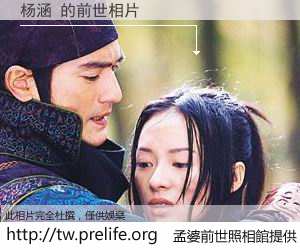 杨涵 的前世相片