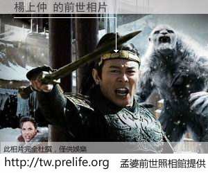 楊上仲 的前世相片