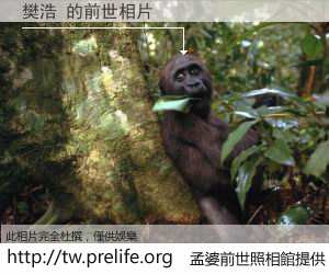 樊浩 的前世相片