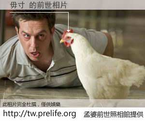 毋寸 的前世相片