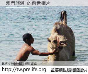 澳門旅遊 的前世相片