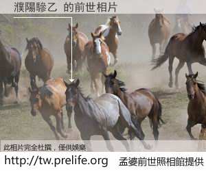 濮陽驂乙 的前世相片