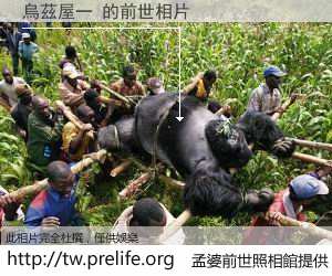 烏茲屋一 的前世相片