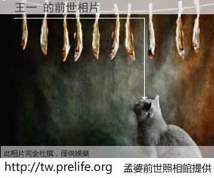 王一 的前世相片
