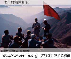 胡 的前世相片