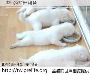 藍 的前世相片