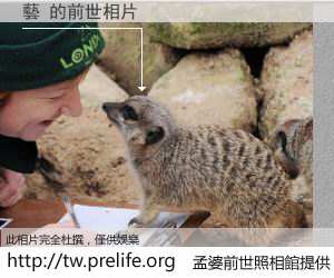 藝 的前世相片