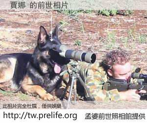 賈娜 的前世相片
