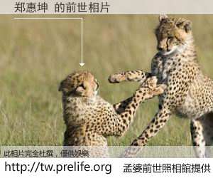 郑惠坤 的前世相片