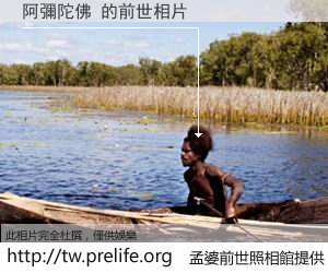阿彌陀佛 的前世相片