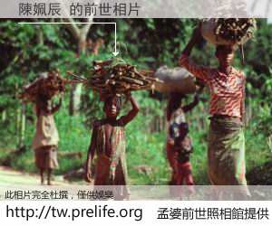 陳姵辰 的前世相片