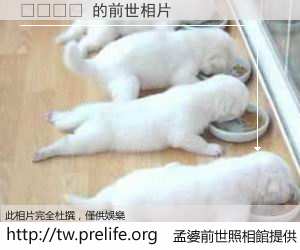 에디원장 的前世相片