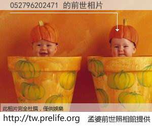 052796202471 的前世相片