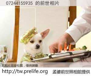 07244155935 的前世相片