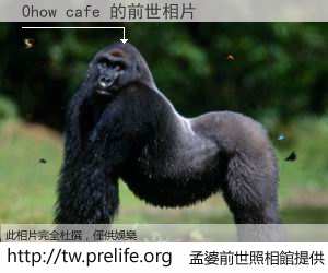 0how cafe 的前世相片