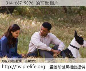 314-667-9096 的前世相片