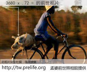 3680 x .72 = 的前世相片