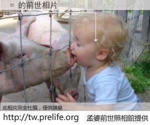 = 的前世相片